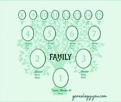fourth generation family tree