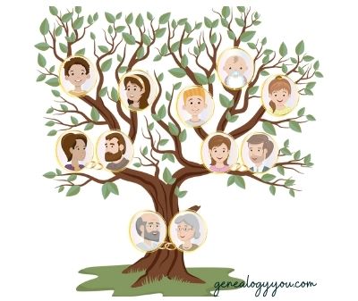 Family tree