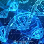 DNA genetic research