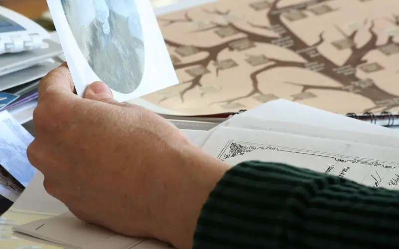 a person holding a picture of an ancestor near a family tree