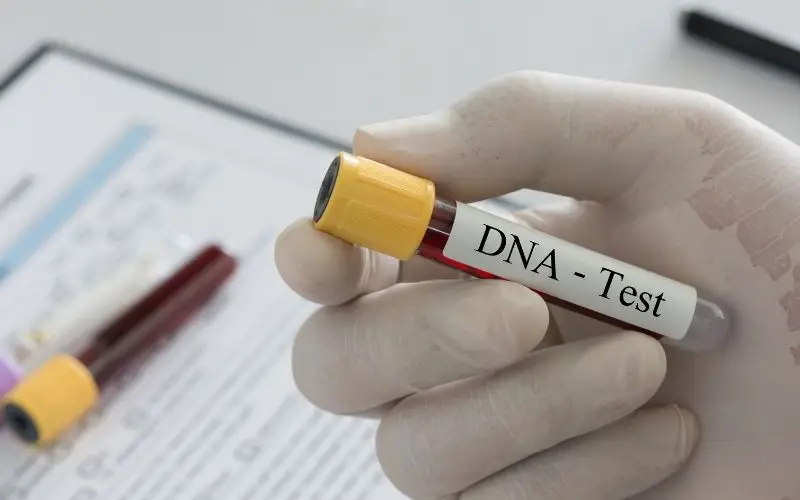 finding haplogroup DNA test