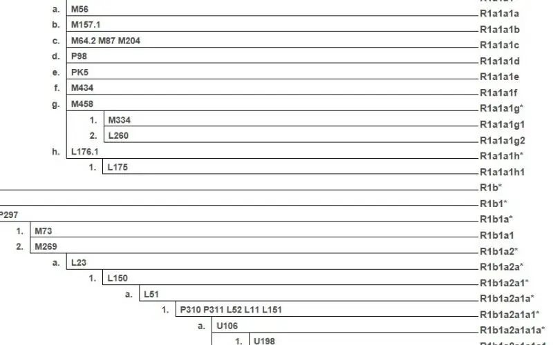 haplogroups and paternal haplogroups naming system