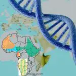 distribution of haplogroup