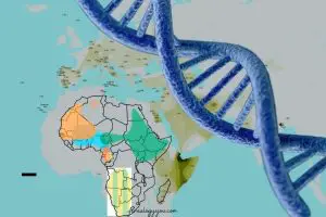 How to Find Your Haplogroup