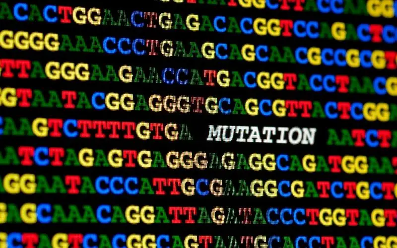 the word mutation written in a coloured DNA sequence.