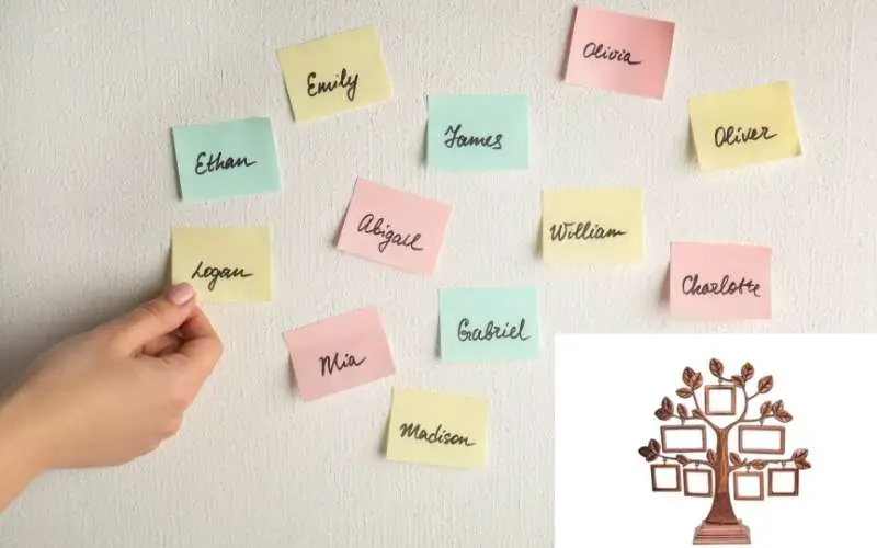 Female Hand and Paper Stickers with Different Names, Family Tree