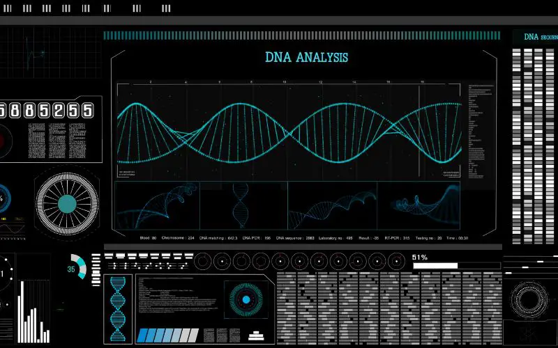 A digital image of DNA used to trace lineage