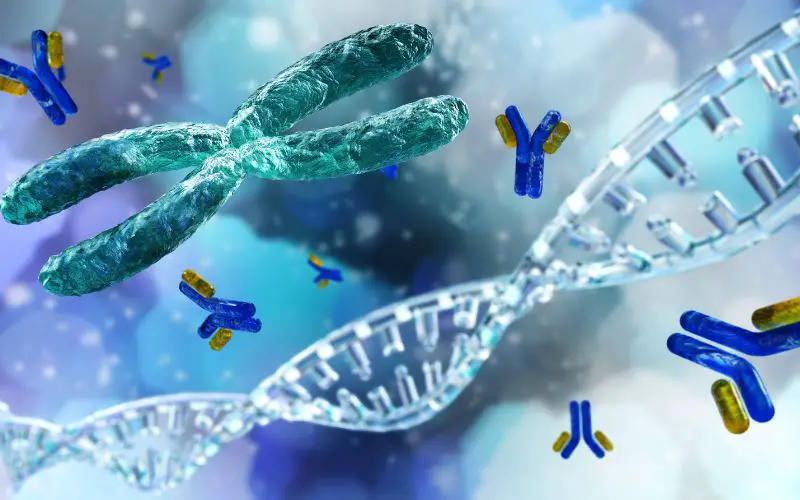 Image showing DNA strands and chromosome figures